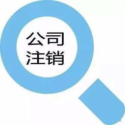 上海公司注销流程 注销公司避坑技巧 简易注销程序