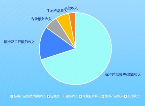 干货实录 saas新商业伙伴大会老罗 软件企业如何提升服务经营利润